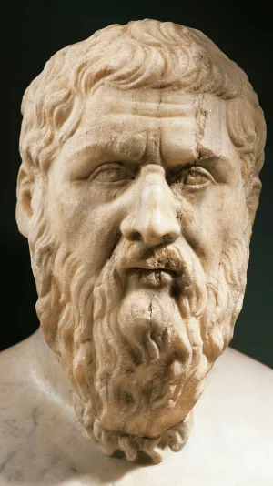 Plato cover