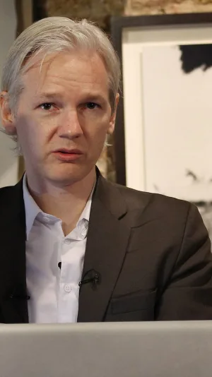 WikiLeaks (2010) cover