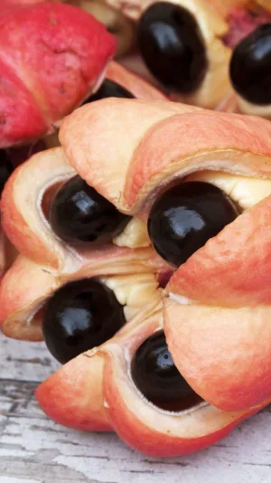 Ackee cover