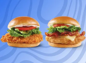 Sándwiches de Wendy's cover