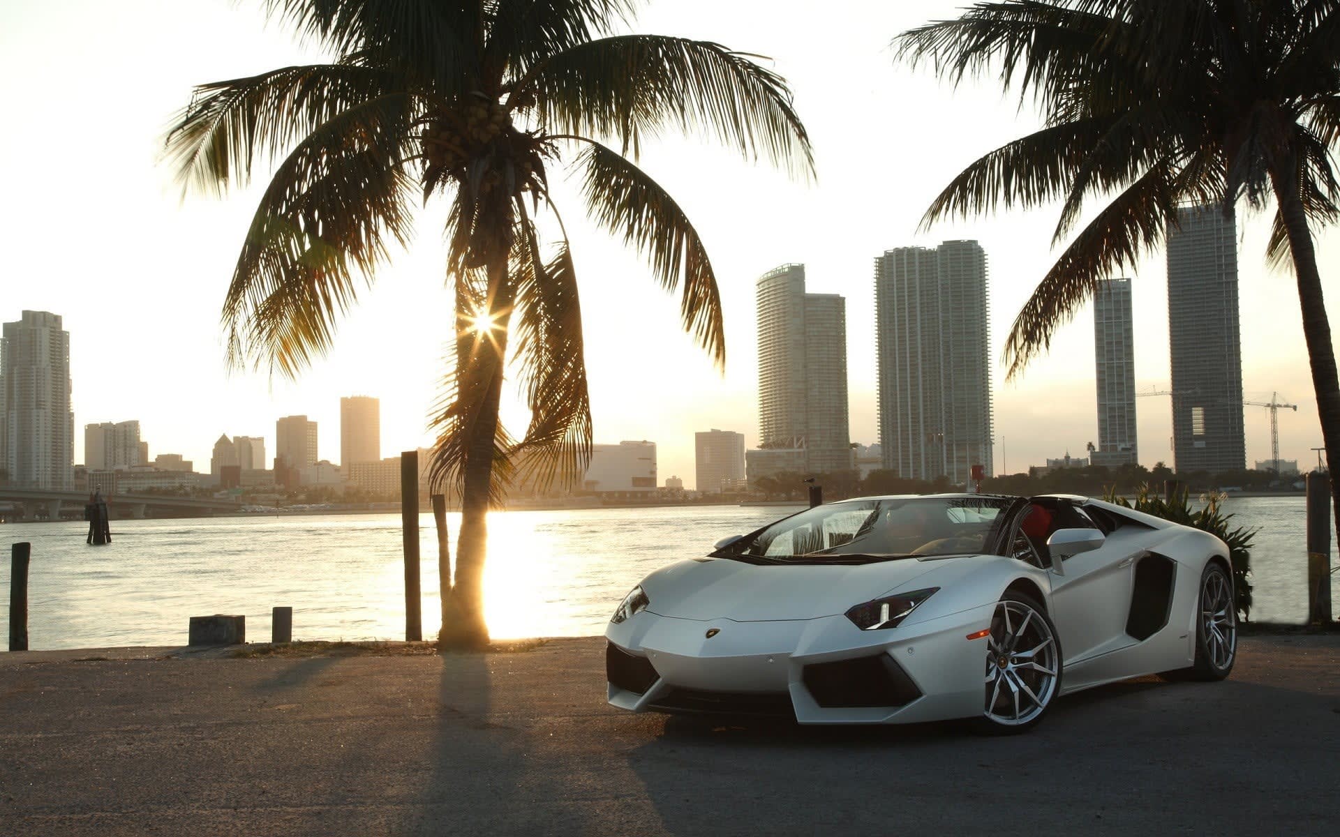 White Lamborghini