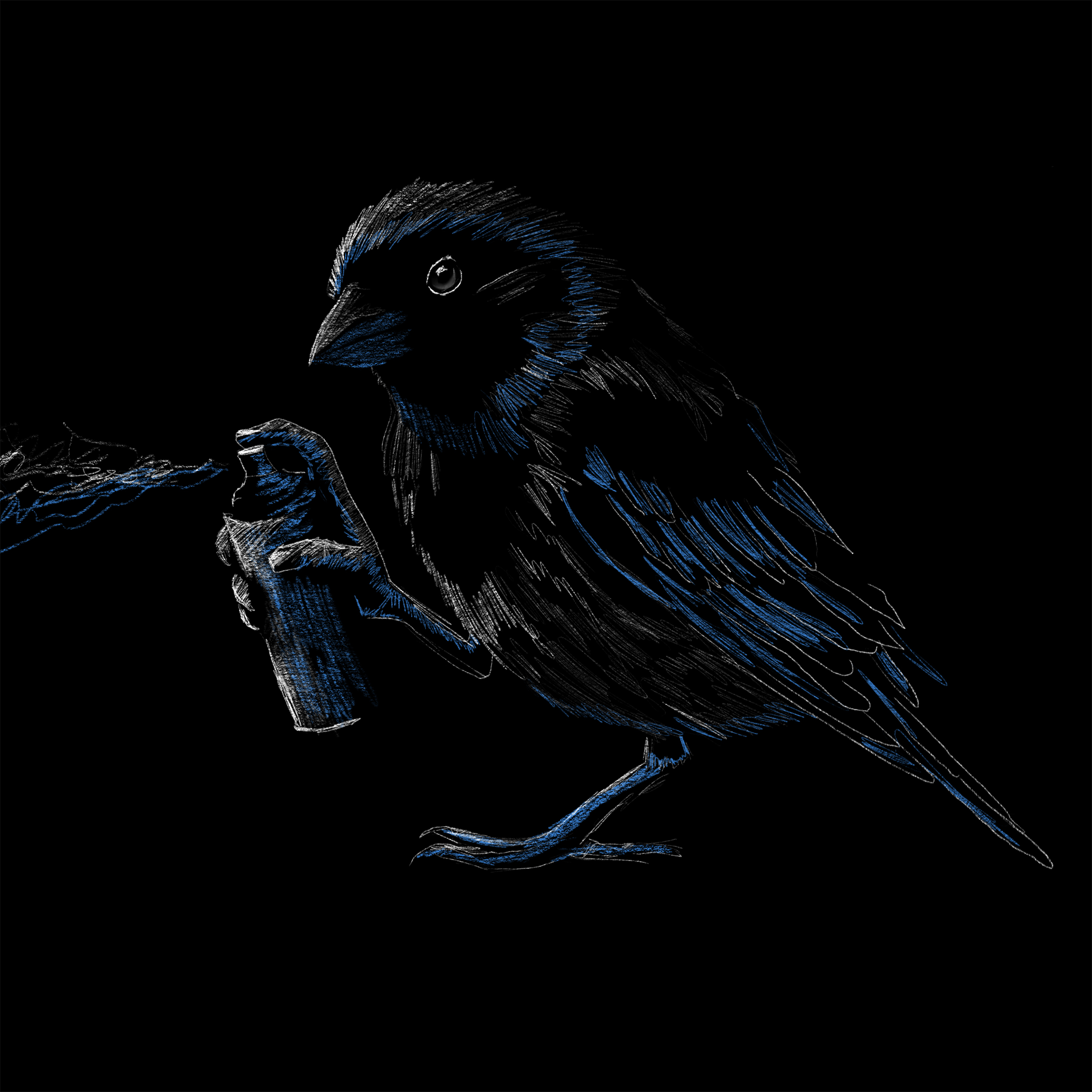 portfolio/BURB Shirts/4