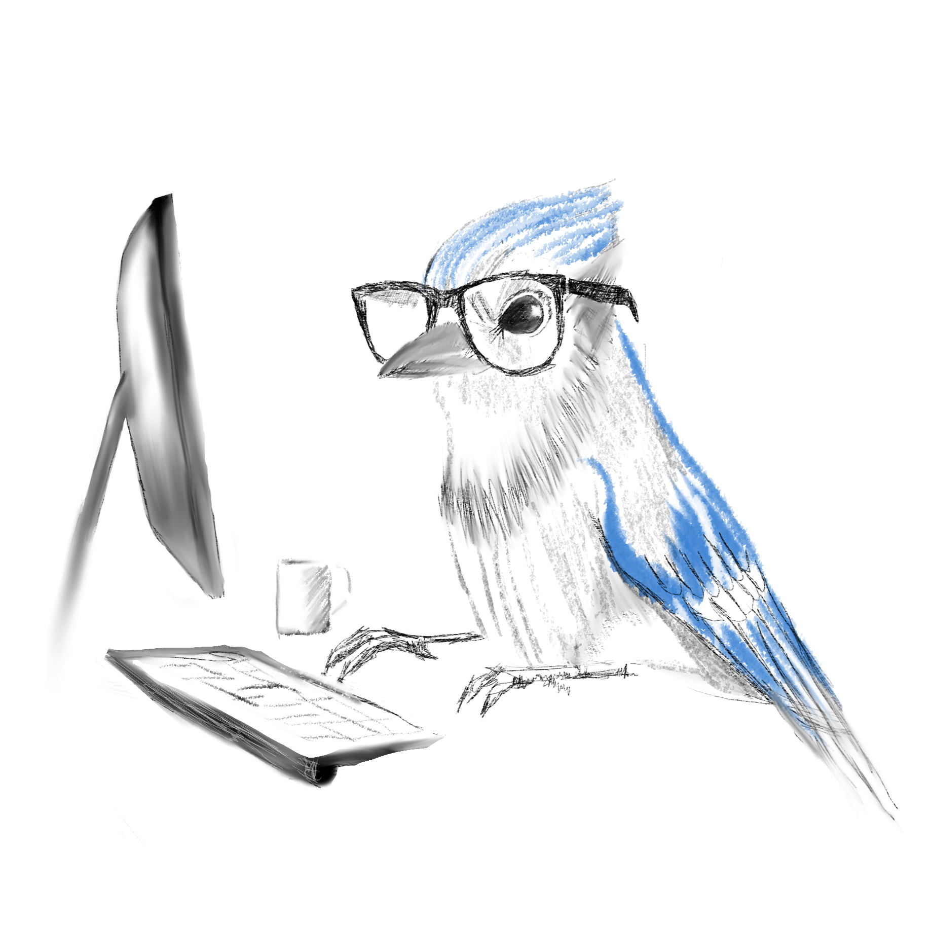portfolio/BURB Shirts/6