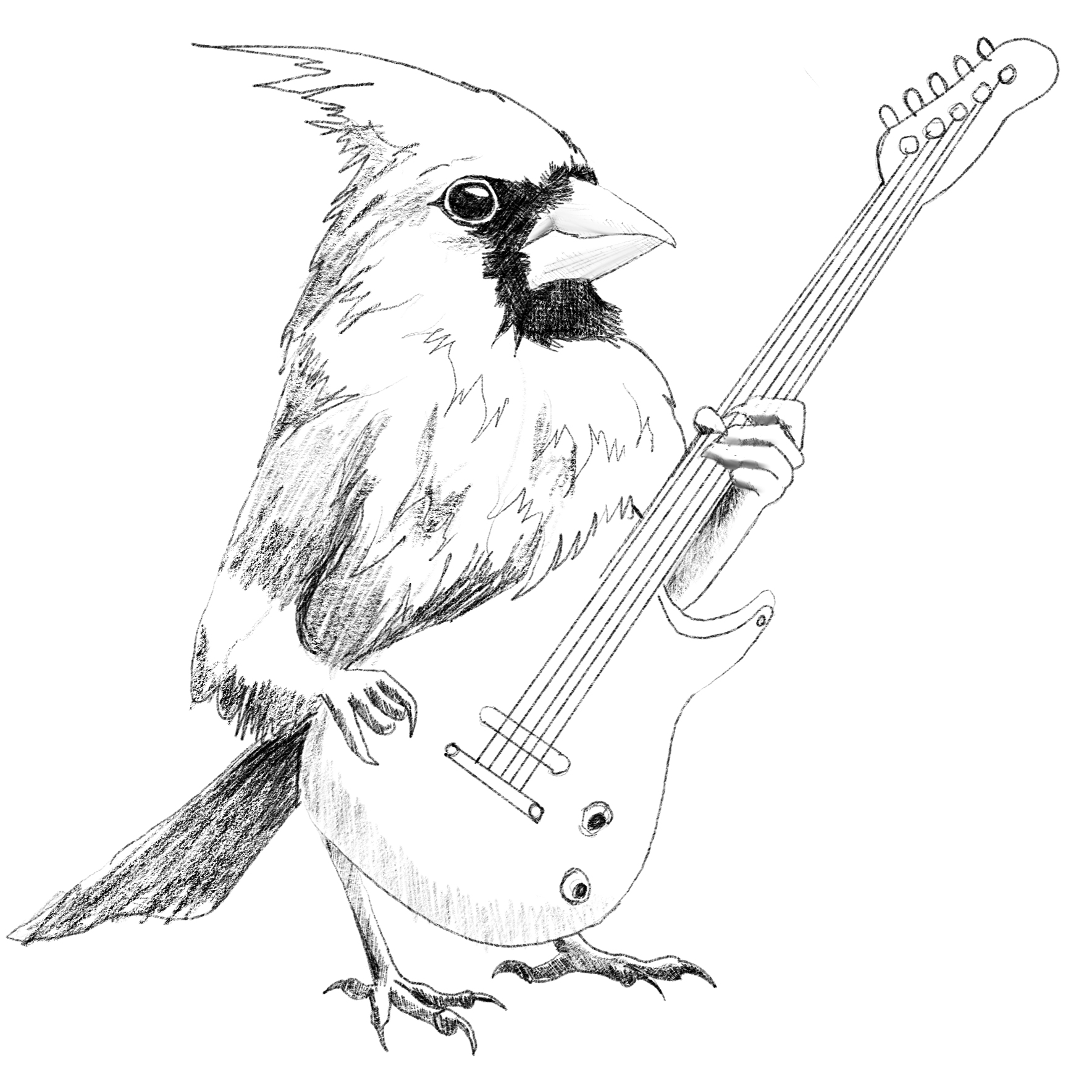 portfolio/BURB Shirts/9