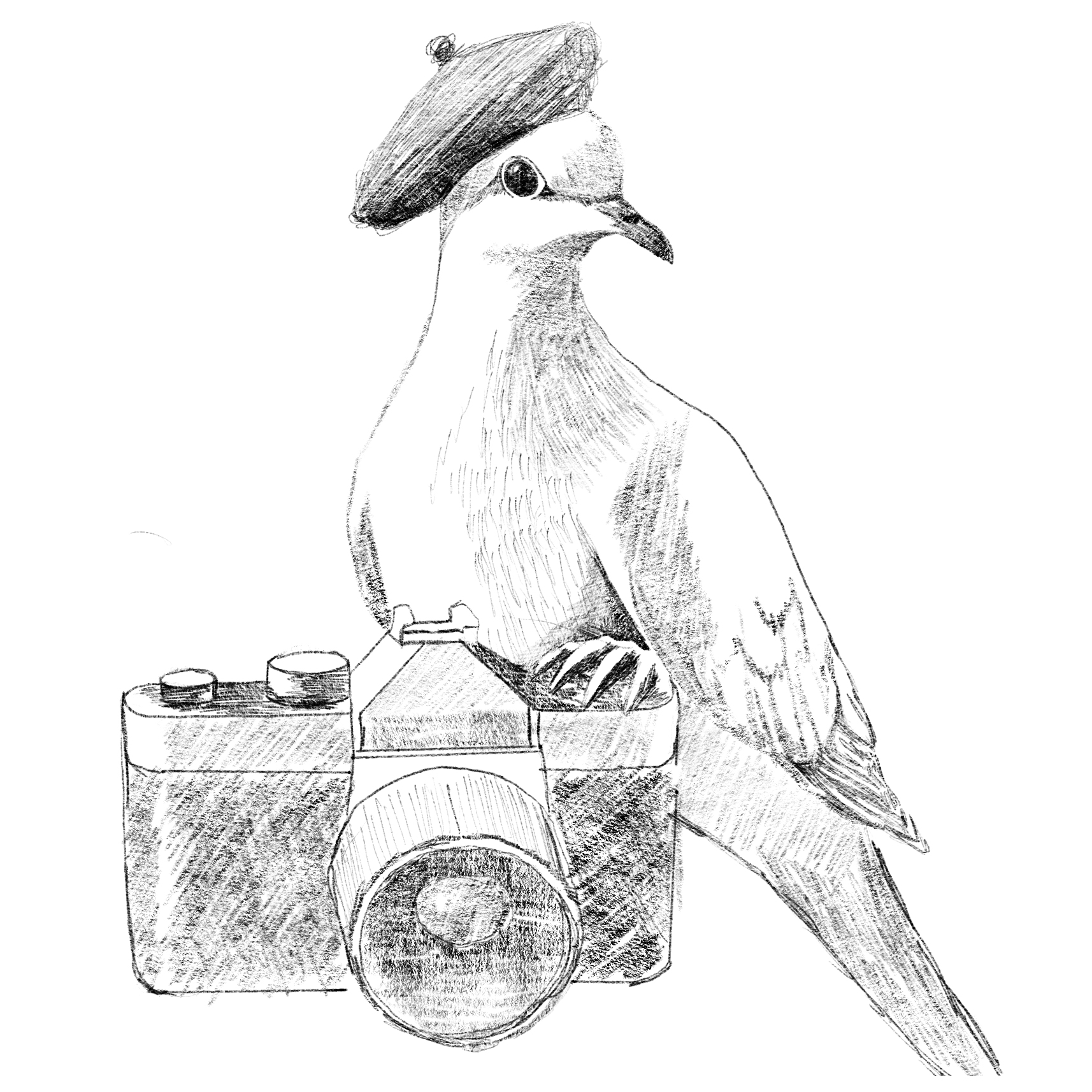 portfolio/BURB Shirts/8