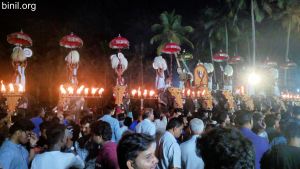 Pidikkaparambu Pooram 2019