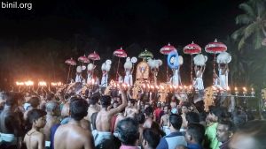 Pidikkaparambu Pooram 2019