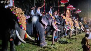 Pidikkaparambu Pooram 2019