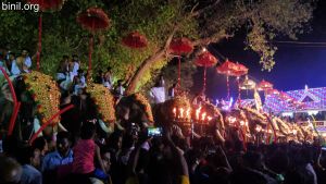 Arattupuzha Pooram 2019