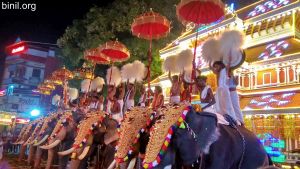 Paramekkavu Bagavathi Temple Vela on 3rd and 4th Jan 2020