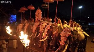 Thiruvambadi Sri Krishna Temple Vela on 10th Jan 2020
