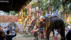 Manalarkavu Devi Temple Vela 2020