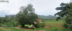 Uthralikkavu Temple