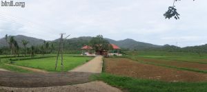 Uthralikkavu Temple