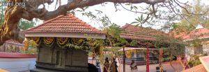 Valiyalukkal Bhagavathy Temple Aswathy Vela 2020