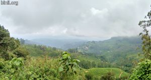  Pothamedu Viewpoint, Munnar 