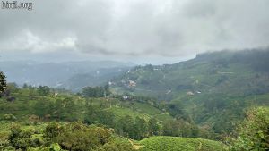  Pothamedu Viewpoint, Munnar 