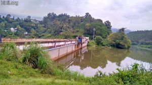 Sengulam Dam