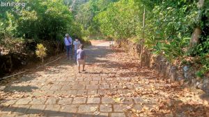 Kallil Bhagavati Temple