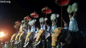 Pidikkaparambu Pooram 2022