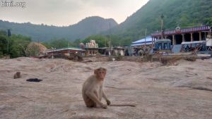 Thirumoorthy