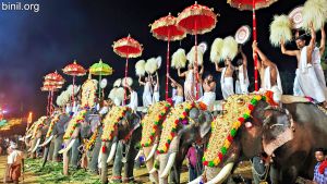 Pidikkaparambu Pooram 2023