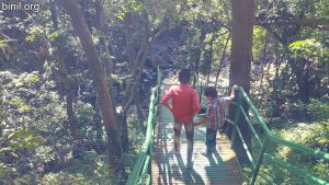 Meenmutty Waterfalls Wayanad