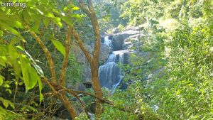 Meenmutty Waterfalls Wayanad