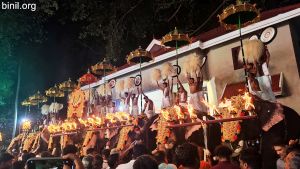 Arattupuzha Tharakkal Pooram 2024