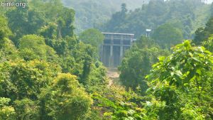 Moozhiyar Dam