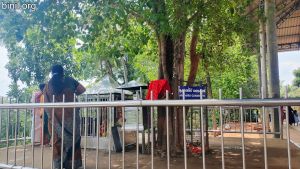 Thirumandhamkunnu Temple