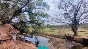 Thirumandhamkunnu Temple
