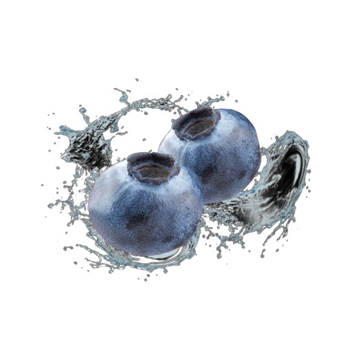 معسل اداليا بلوبيري 1 كغ