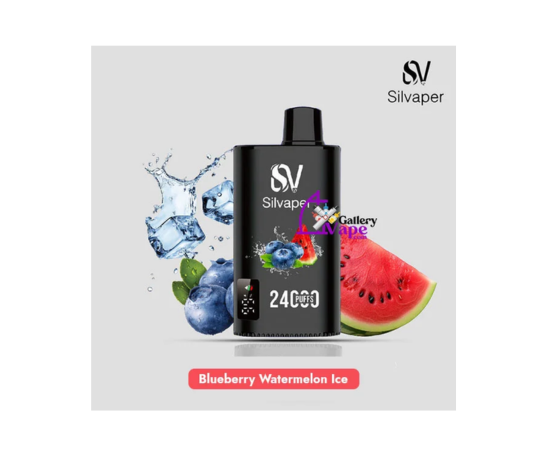 Silvapor Blueberry Watermelon Ice (24,000 Puffs)