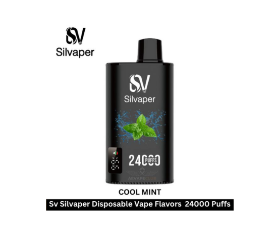 Silvapor Cool Mint (24,000 Puffs)