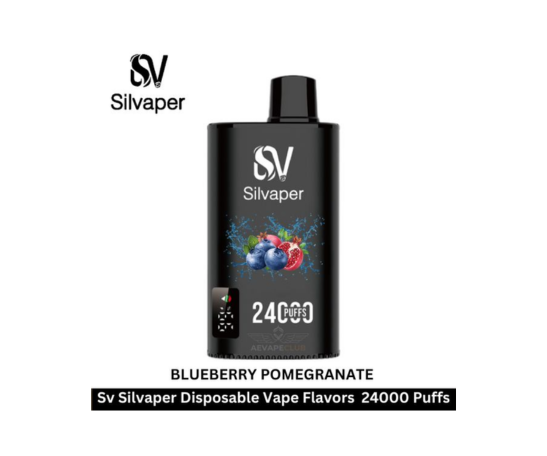 Silvapor Blueberry Pomegranate (24,000 Puffs)