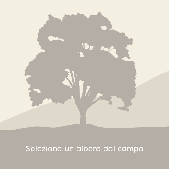 clementino clementino