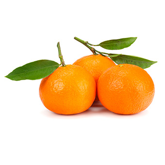 fruit