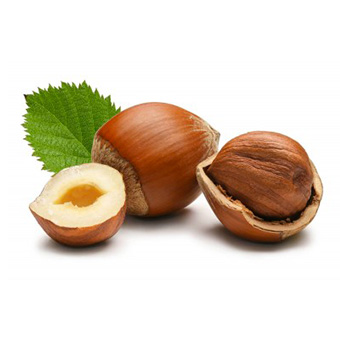 fruit