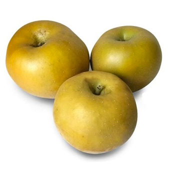 fruit