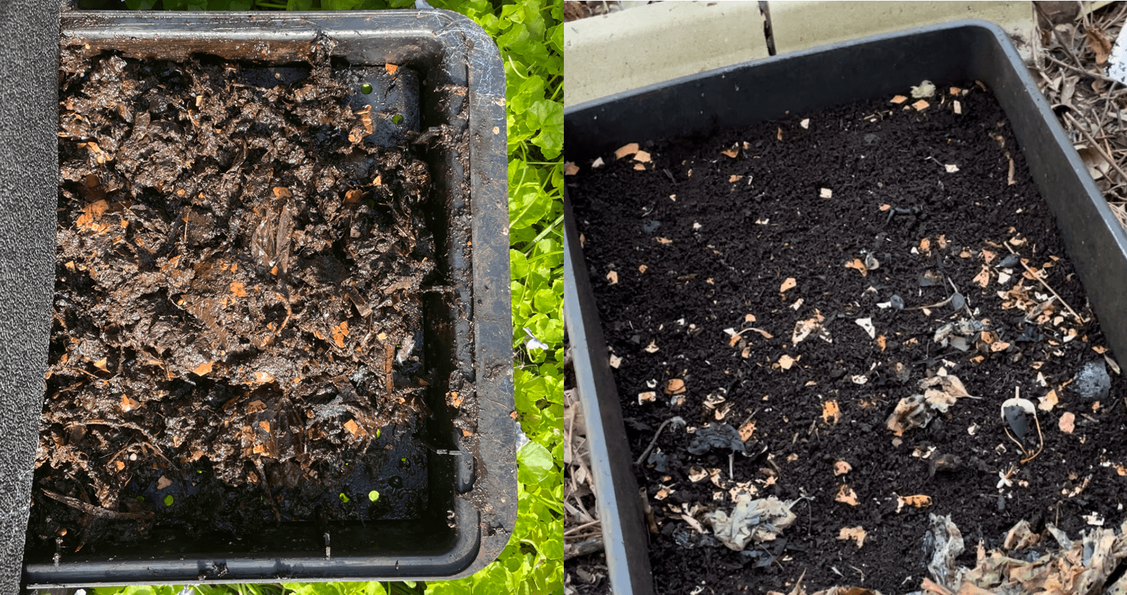 Comparison of freshly harvested and rested humus