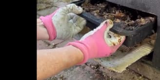 Make the best kind of compost video thumbnail