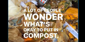 Compost cooking video thumbnail