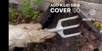 Turn wastes into soil food video thumbnail