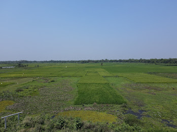 Direct Access Corridor & Surrounding Greenery