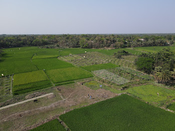 Natural Water Retention Basin & Lakefront Zone
