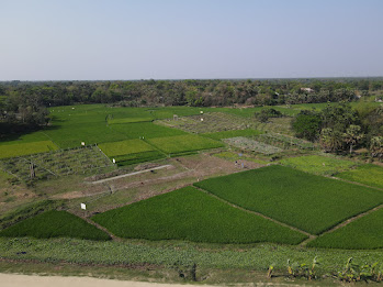 Demarcated Residential Plot Boundaries