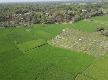 Survey Markers & Plot Demarcation Pegging
