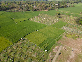 Sector Demarcation & Drainage Grading