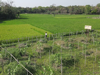 Engineered Soil Compaction & Quality Verification